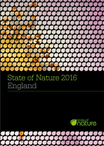 state-of-nature-england